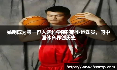 j9国际官网