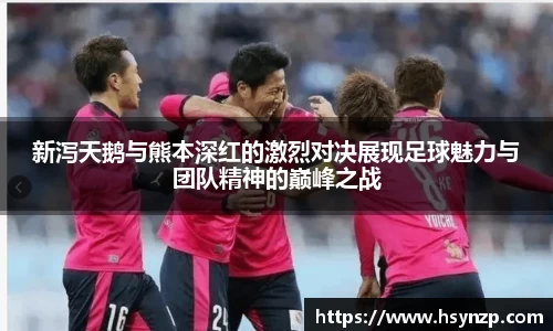 J9集团官网